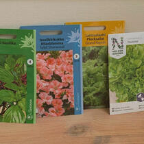 thai basil, salad, flowers